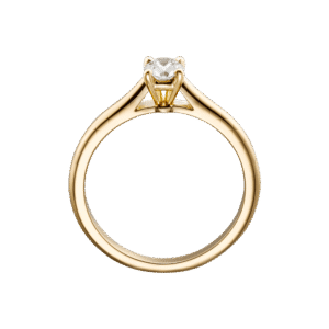Nine inch Ring